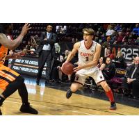 Windsor Express forward Logan Stutz