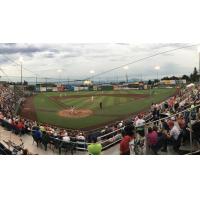A sellout crowd at Memorial Stadium, home of the Everett AquaSox