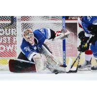 Idaho Steelheads goaltender Tomas Sholl