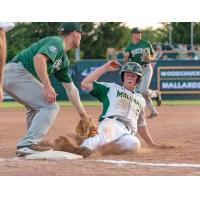 Madison Mallards and Wisconsin Woodchucks await the call on a close play at third