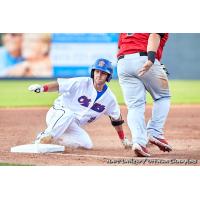 Ottawa Champions slide safely into third