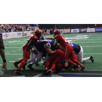 Jacksonville Sharks vs. the Columbus Lions