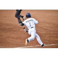 Ryan Weisenberg of the St. Cloud Rox hustles around the bases