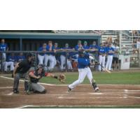 Walla Walla Sweets at the plate