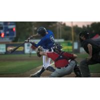 Walla Walla Sweets make contact