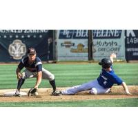 Walla Walla Sweets try to beat the tag at second