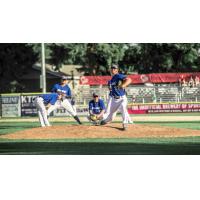Walla Walla Sweets warming up