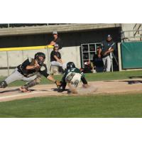 Tommy Ahlstrom of the Medford Rogues dives for home