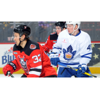 Binghamton Devils vs. the Toronto Marlies