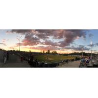 Harry & David Field, Home of the Medford Rogues
