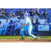 Hunter Vansau of the Victoria HarbourCats