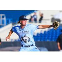 Victoria HarbourCats pitcher Mason Shaw
