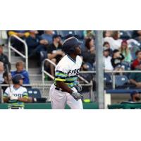Everett AquaSox watch a long ball