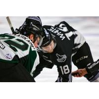 AJ White of the Idaho Steelheads