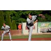 Albany Dutchmen deliver a pitch