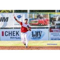 Victoria HarbourCats shortstop Dustin Demeter