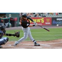 Taylor Ard of the Long Island Ducks connects on a pitch