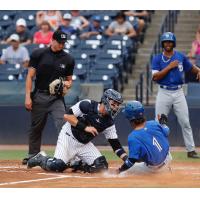 Tampa Tarpons catcher Donny Sands applies the tag