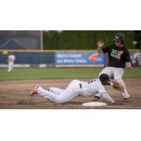 Walla Walla Sweets dive to pick off a retreating River City A's baserunner