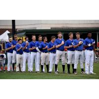 Albany Dutchmen line up for the National Anthem