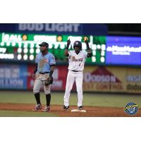 Welfrin Mateo of the Charleston RiverDogs