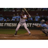 Wisconsin Rapids Rafters vs. the Kalamazoo Growlers