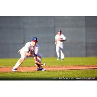Ottawa Champions corral a ground ball