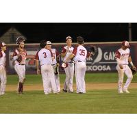 Wisconsin Rapids Rafters celebrate a win