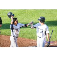 Victoria HarbourCats' Nick Plaia (left) is congratulated by Hunter Vansau (right) after Plaia's home run