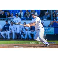 Matt Clayton of the Victoria HarbourCats