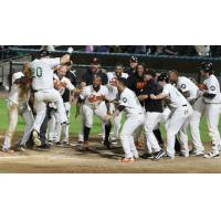Lew Ford and the Long Island Ducks celebrate Ford's walk-off home run