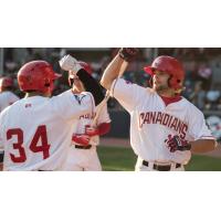 Vancouver Canadians congratulate SS Vinny Capra on his home run