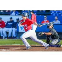 Ryan Ober of the Victoria HarbourCats