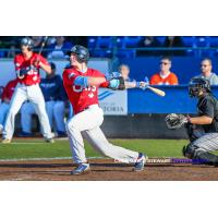 Victoria HarbourCats catcher Hayden Jaco