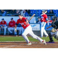 Cade Brown of the Victoria HarbourCats collects one of his three hits