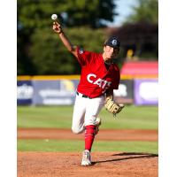 Victoria HarbourCats pitcher Mason Shaw delivers