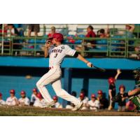 Battle Creek Bombers infielder Roman Trujillo