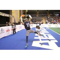 Baltimore Brigade WR Brandon Collins completes a one-handed touchdown catch