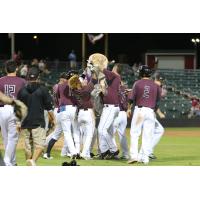 Kansas City T-Bones celebrate a walk-off win