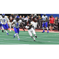 Jacksonville Sharks picking up some yardage