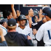 Gleyber Torres receives congratulations from the Tampa Tarpons dugout