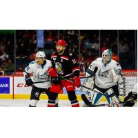 Forward Eric Tangradi with the Grand Rapids Griffins
