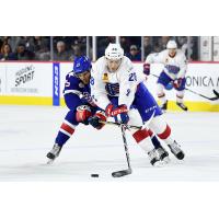 Forward Yannick Veilleux with the Laval Rocket