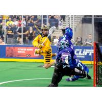 Georgia Swarm's Lyle Thompson leaps to score a goal