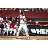 Alex Fedje-Johnson of the Wisconsin Rapids Rafters