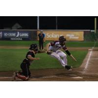 Wisconsin Rapids Rafters and the Battle Creek Bombers in a play at the plate