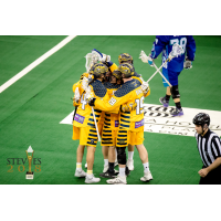 Georgia Swarm celebrate on the field
