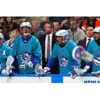 Mike Hasen of the Rochester Knighthawks