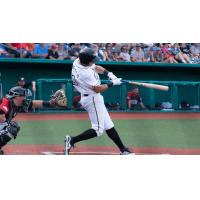 Luke Bonfield of the Southern Illinois Miners