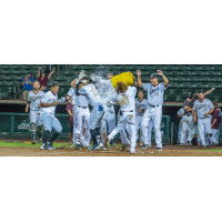 Kansas City T-Bones celebrate walk-off home run